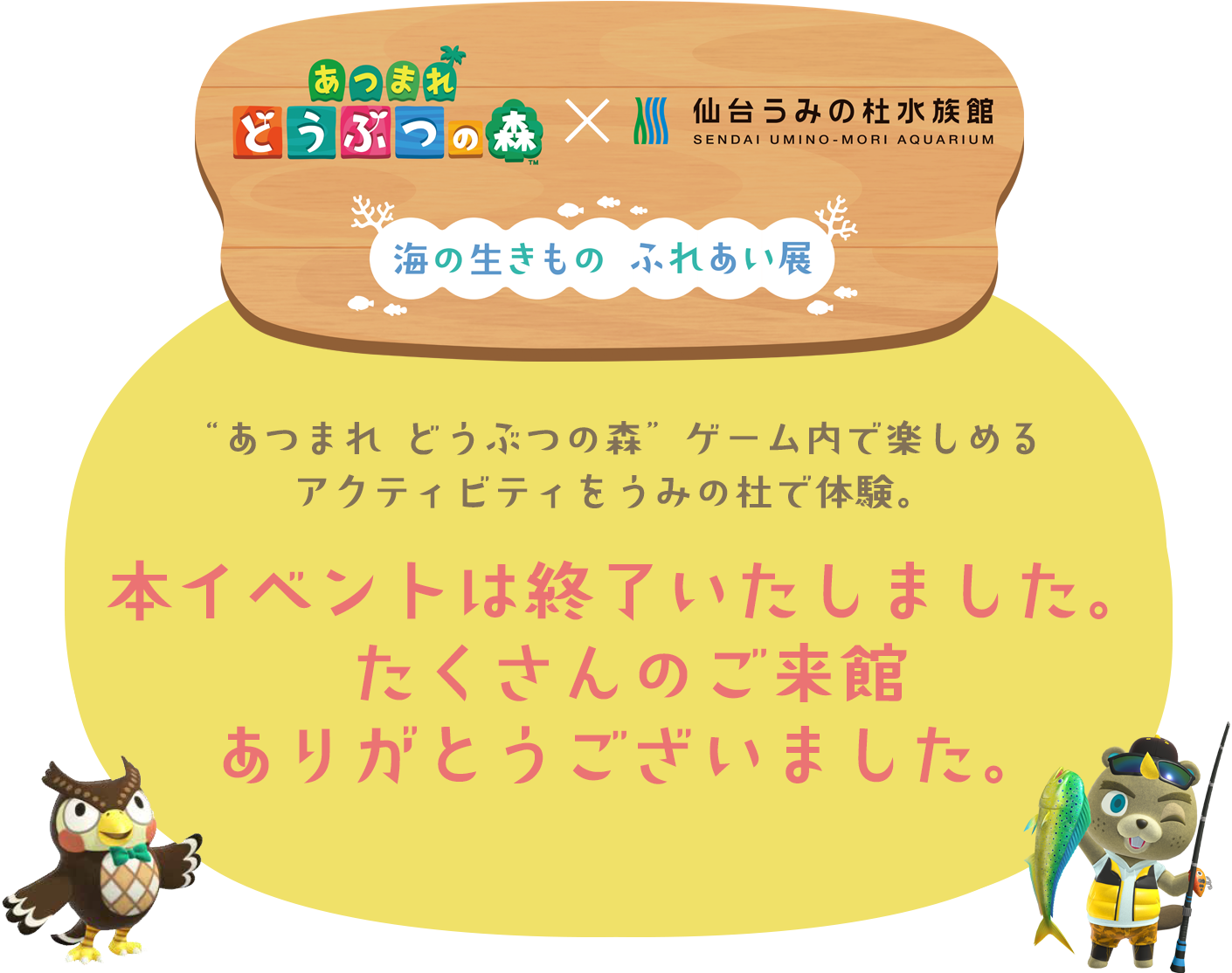 海のいきもの　ふれあい展