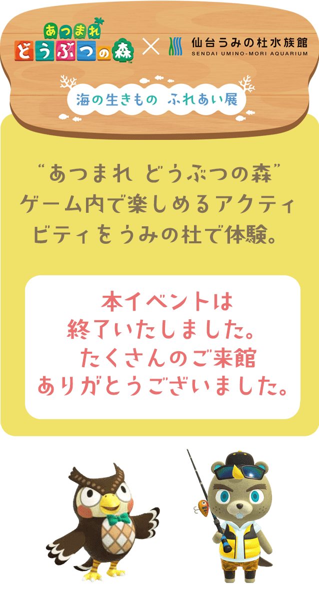 海のいきもの　ふれあい展